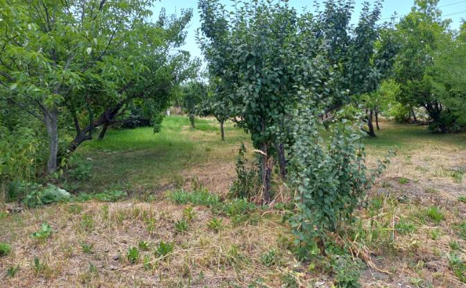 Land Lot for Sale Aragyugh, Kotayk Province. Photo#11 Land Lot for Sale Aragyugh, Kotayk Province. Photo#11