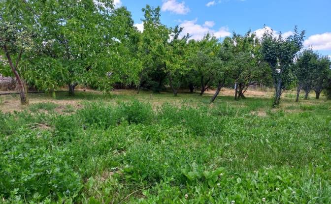 Land Lot for Sale Aragyugh, Kotayk Province. Photo#18 Land Lot for Sale Aragyugh, Kotayk Province. Photo#18