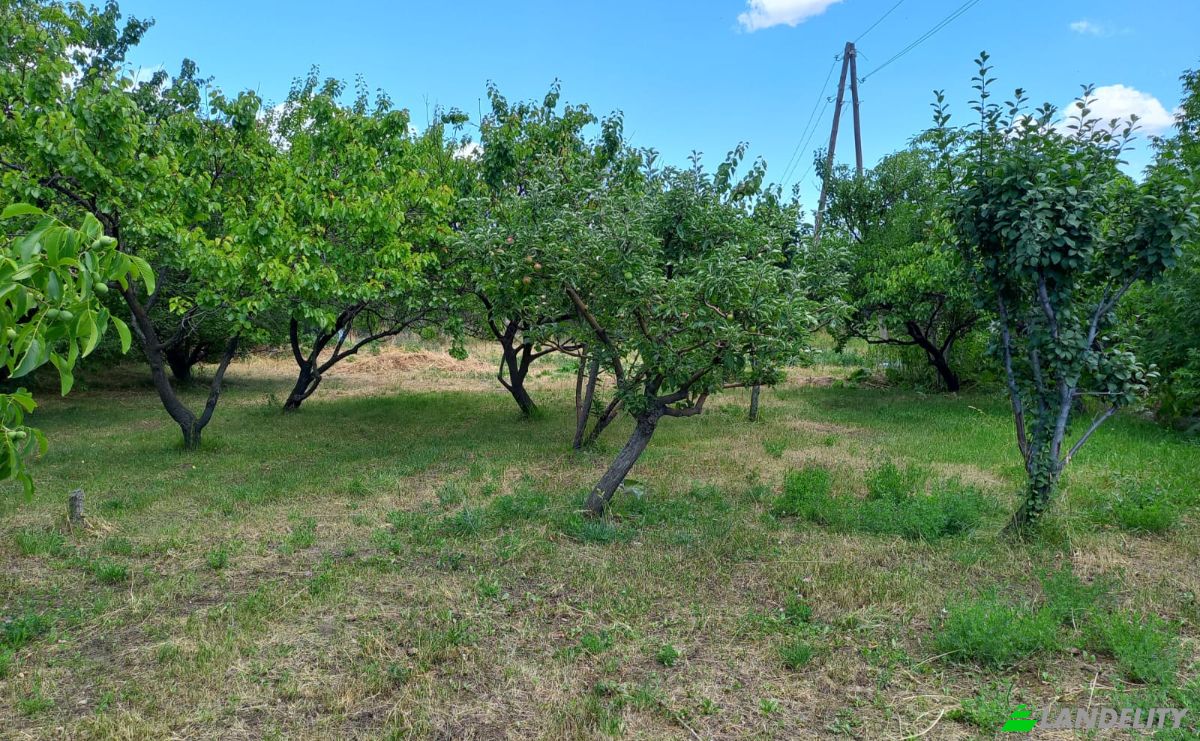 Land Lot for Sale Aragyugh, Kotayk Province, Armenia. Photo 19