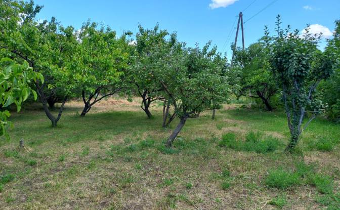 Land Lot for Sale Aragyugh, Kotayk Province. Photo#19 Land Lot for Sale Aragyugh, Kotayk Province. Photo#19