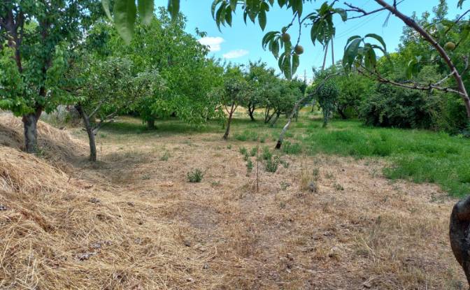 Land Lot for Sale Aragyugh, Kotayk Province. Photo#2 Land Lot for Sale Aragyugh, Kotayk Province. Photo#2