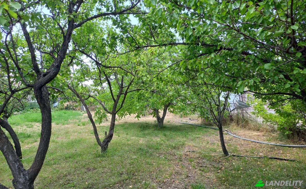 Land Lot for Sale Aragyugh, Kotayk Province, Armenia. Photo 5