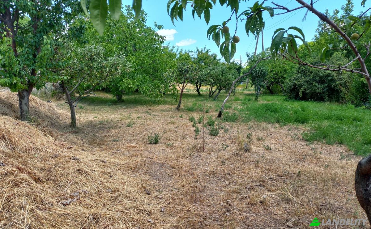Land Lot for Sale Aragyugh, Kotayk Province, Armenia. Photo 6