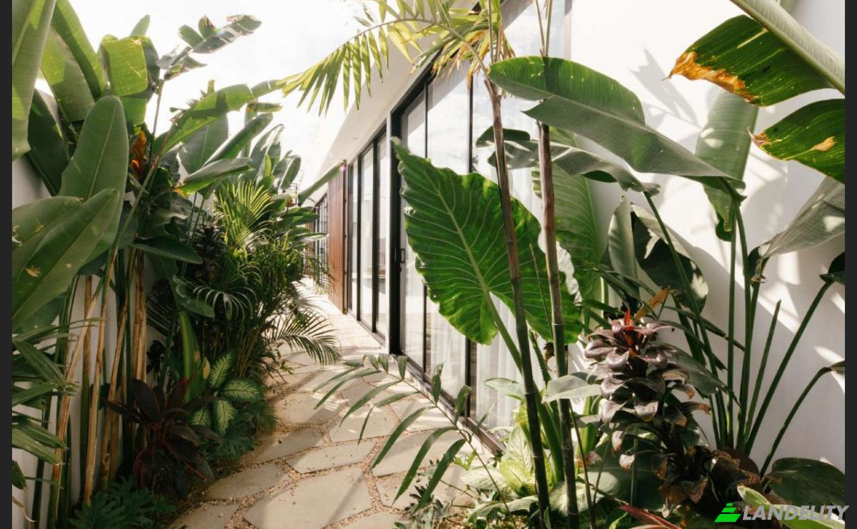 Villa for Sale Jl Babadan, Pererenan, Badung Regency, Bali, Indonesia, Kec Mengwi, Kabupaten Badung, Bali 80351. Photo 9