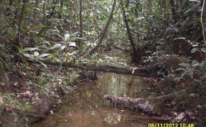 Grondperceel Te koop Nausori, Tailevu. Foto#3