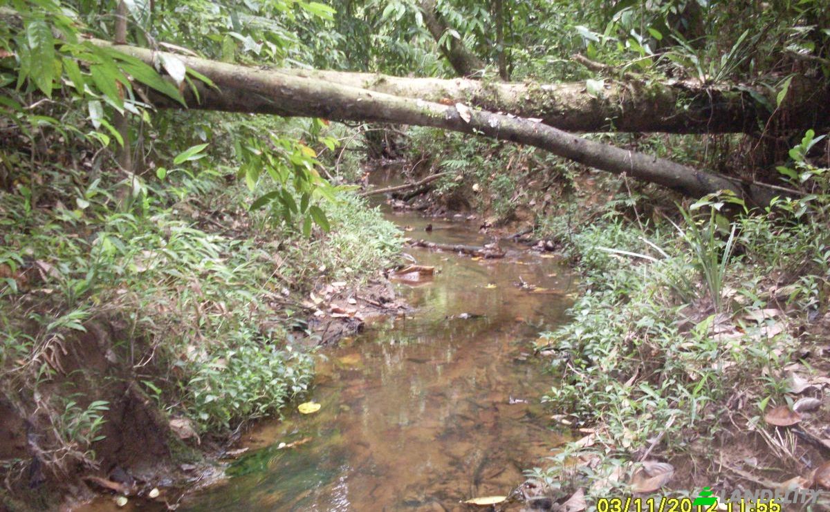 Grondperceel Te koop Nausori, Tailevu, Central Division, Fiji. Foto 5