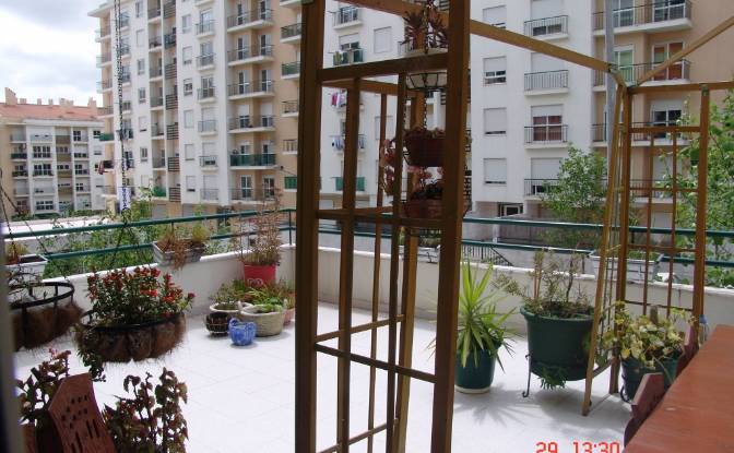 Apartment for Sale R Dr Francisco Ribeiro Spinola. Photo#1 Apartment for Sale R Dr Francisco Ribeiro Spinola. Photo#1