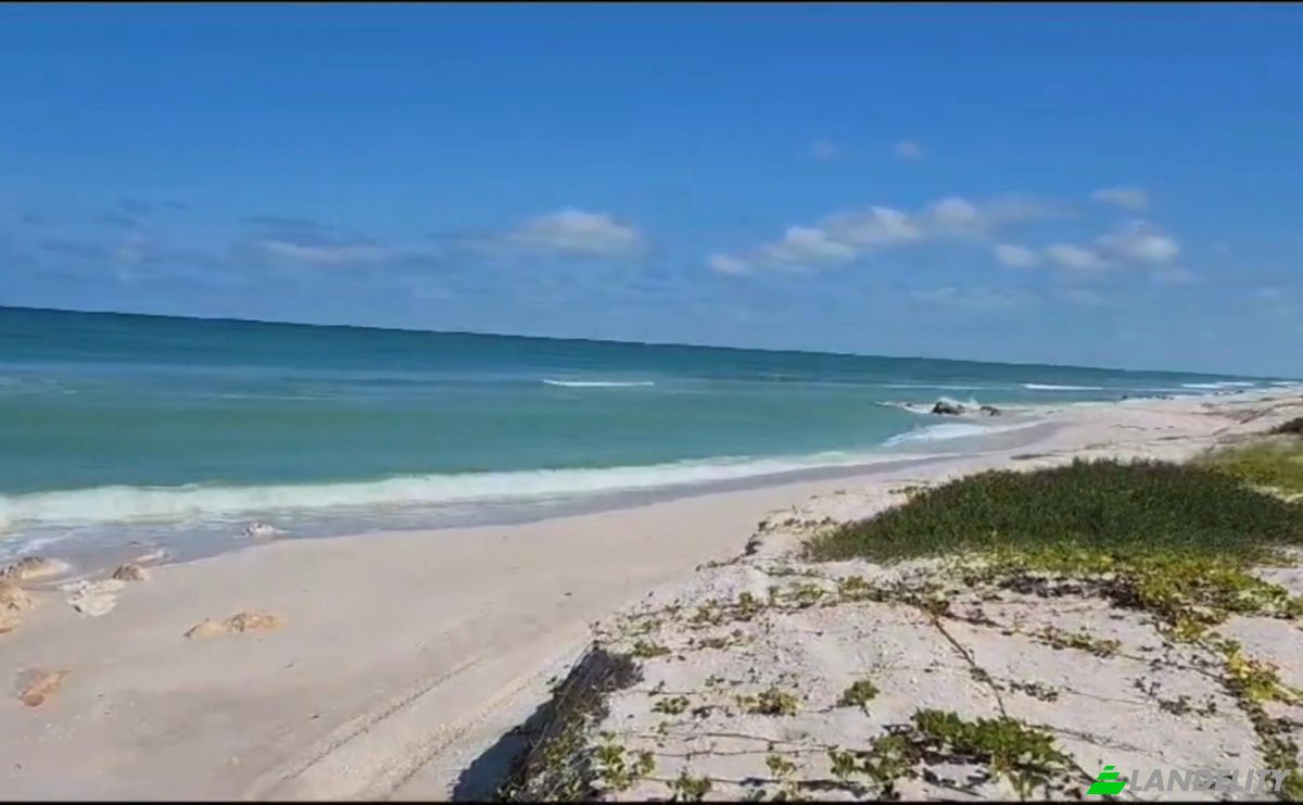 Lote de terreno en venta México 180, 24300 Camp, Sabancuy, Municipio de Carmen, Campeche, México. Foto 2