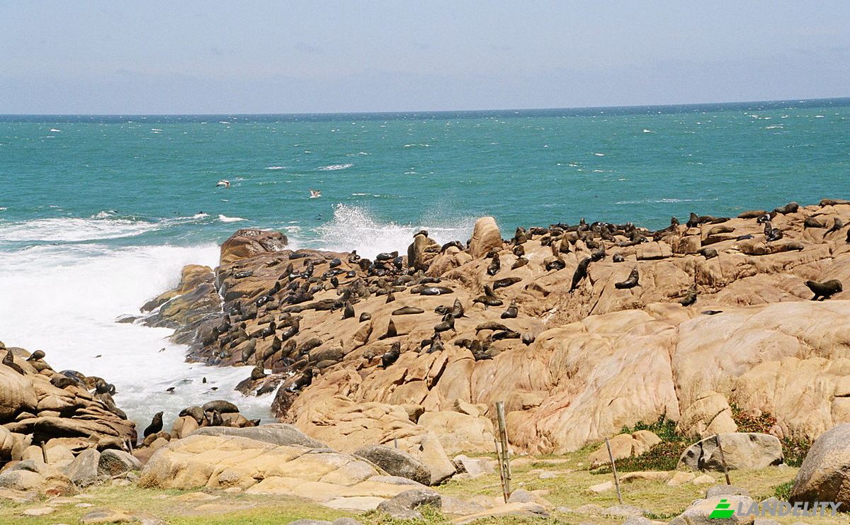 Land Lot for Sale 27400 Oceania del Polonio, Departamento de Rocha, Oceania del Polonio, Castillos, Rocha Department, Uruguay. Photo 2