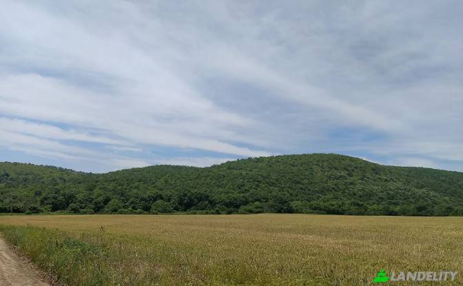 Land Lot for Sale - Medovo, Bulgaria