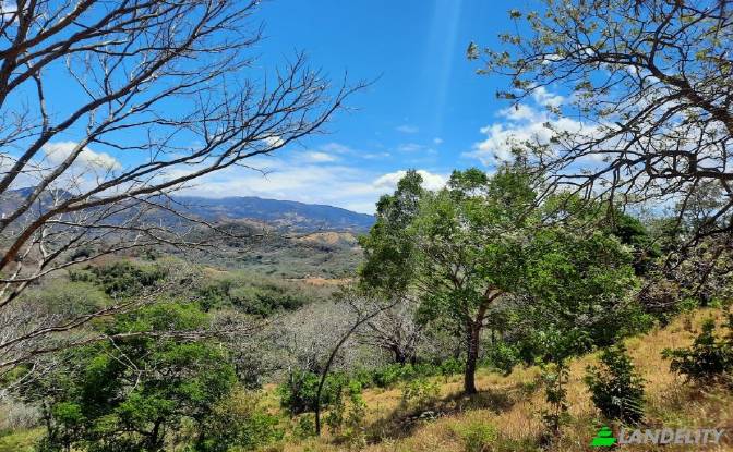Land Lot for Sale Via sin nombre. Photo#2