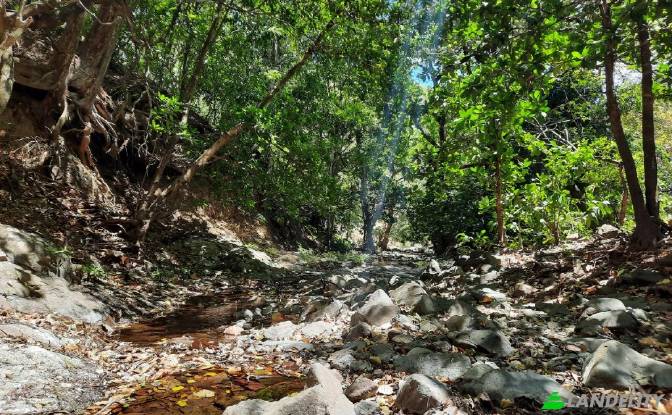 Land Lot for Sale Via sin nombre. Photo#3