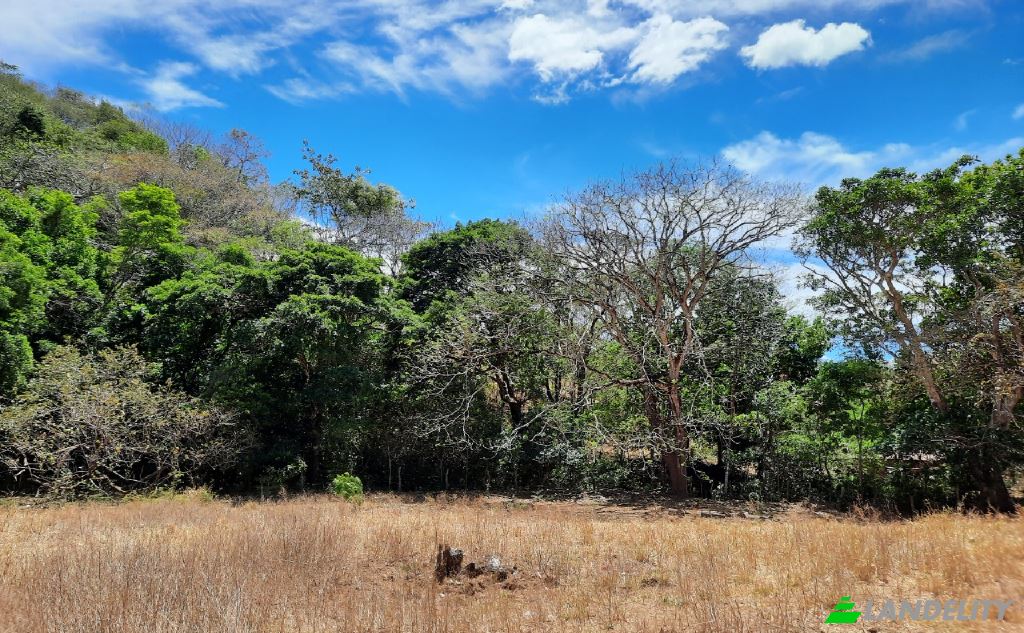 Land Lot for Sale Via sin nombre, Provincia de Puntarenas, Puntarenas Province, Costa Rica. Photo 4