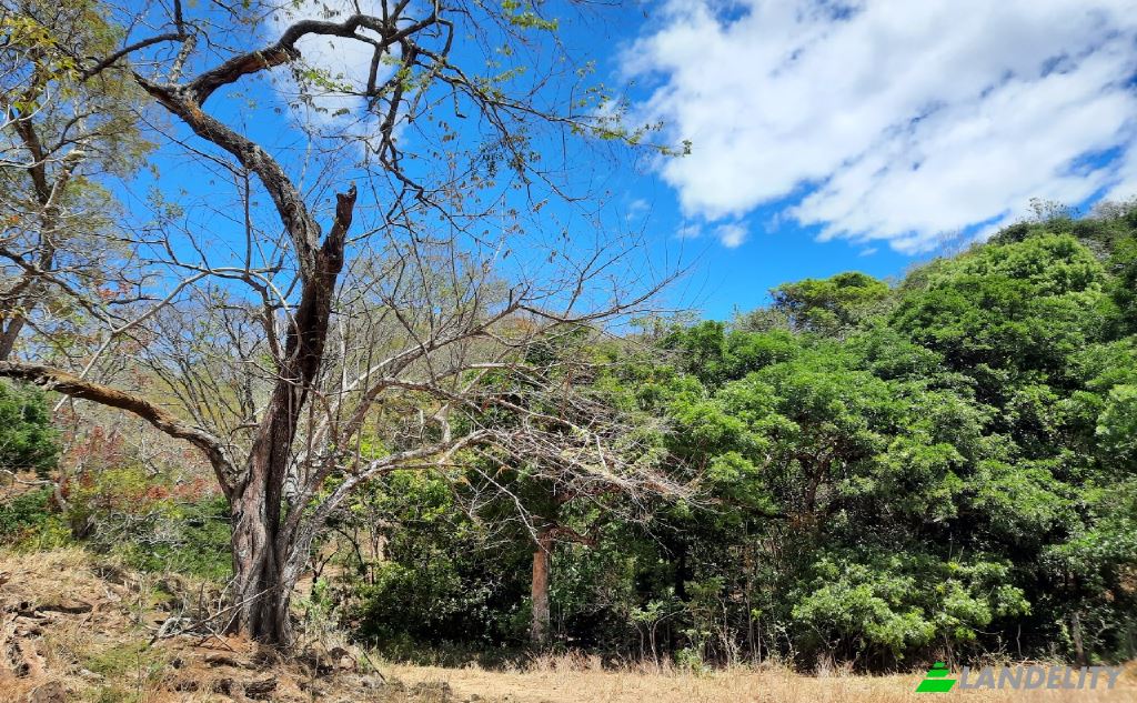 Land Lot for Sale Via sin nombre, Provincia de Puntarenas, Puntarenas Province, Costa Rica. Photo 7