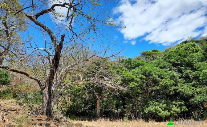 Land Lot for Sale Via sin nombre. Photo#7