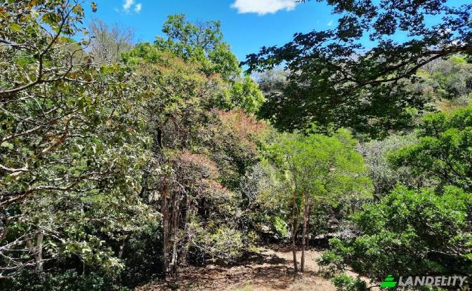 Land Lot for Sale Via sin nombre. Photo#9