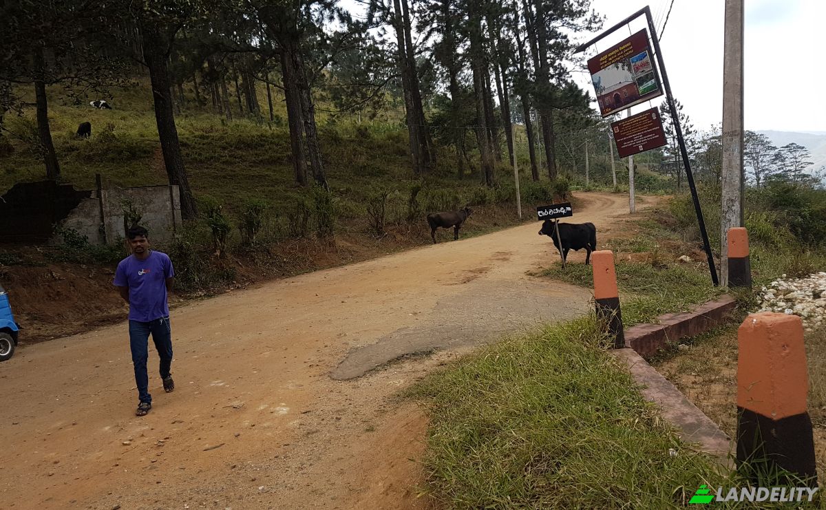 Land Lot for Sale Belwood Rd, Galaha, Kandy, Central Province, Sri Lanka. Photo 3