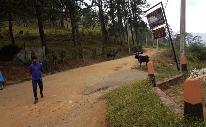 Land Lot for Sale Belwood Rd, Galaha, Kandy. Photo#3 Land Lot for Sale Belwood Rd, Galaha, Kandy. Photo#3