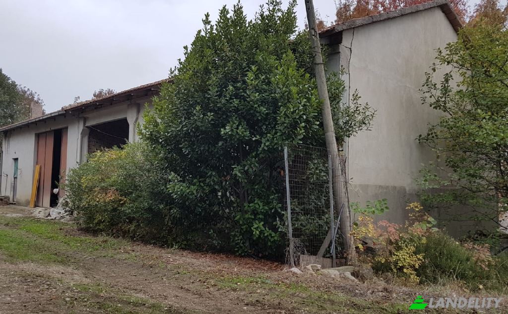 Land Lot for Sale Strada senza nome, 86037 Palata CB, Palata, Province of Campobasso, Molise, Italy. Photo 11