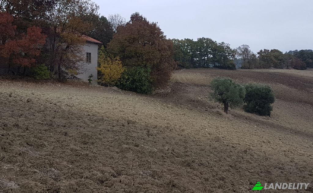 Land Lot for Sale Strada senza nome, 86037 Palata CB, Palata, Province of Campobasso, Molise, Italy. Photo 3