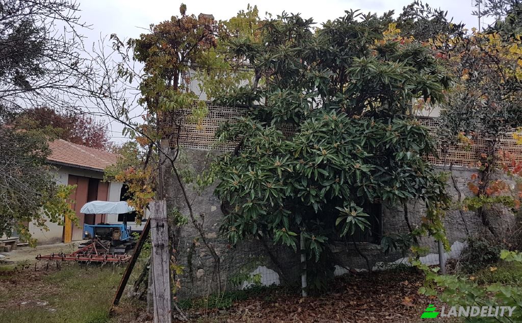 Land Lot for Sale Strada senza nome, 86037 Palata CB, Palata, Province of Campobasso, Molise, Italy. Photo 6