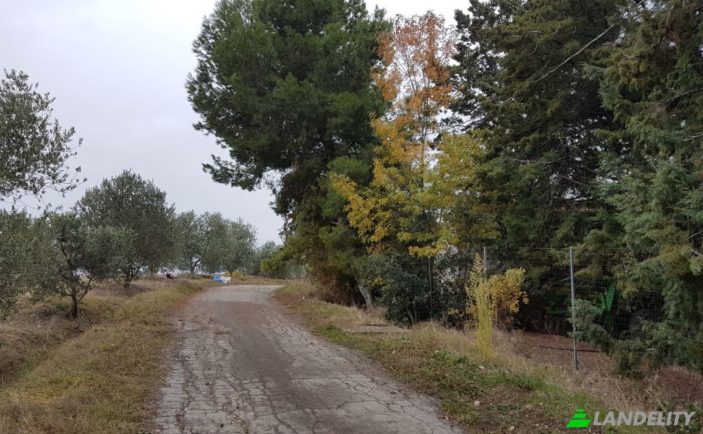 Land Lot for Sale Strada senza nome, 86037 Palata CB, Palata, Province of Campobasso, Molise, Italy. Photo 8