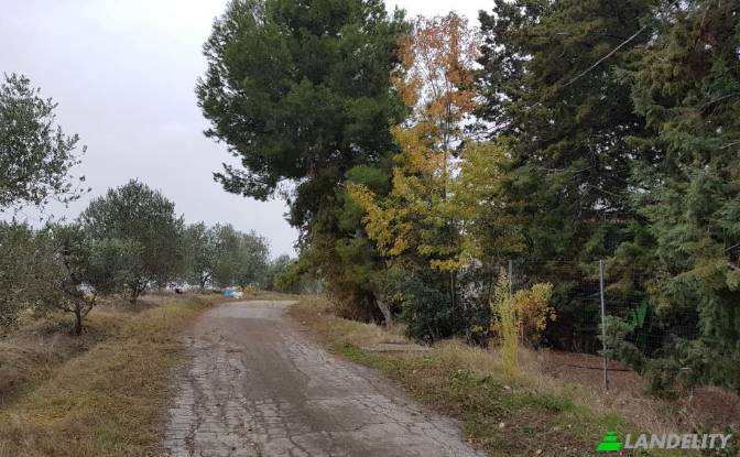 Land Lot for Sale Strada senza nome. Photo#8 Land Lot for Sale Strada senza nome. Photo#8