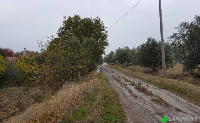 Land Lot for Sale Strada senza nome. Photo#9 Land Lot for Sale Strada senza nome. Photo#9
