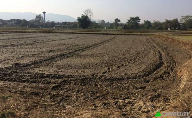 Land Lot for Sale Soi Sena Nakhon, Tambon Tha Sai. Photo#10 Land Lot for Sale Soi Sena Nakhon, Tambon Tha Sai. Photo#10
