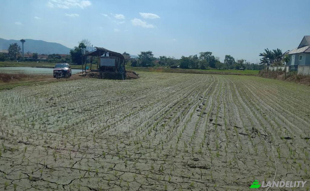 Land Lot for Sale Soi Sena Nakhon, Tambon Tha Sai, Amphoe Mueang Chiang Rai, Chang Wat Chiang Rai 57000, Tha Sai, Mueang Chiang Rai District, Chiang Rai, Thailand. Photo 12