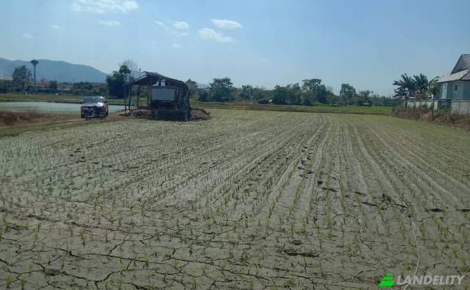 Land Lot for Sale Soi Sena Nakhon, Tambon Tha Sai. Photo#12 Land Lot for Sale Soi Sena Nakhon, Tambon Tha Sai. Photo#12
