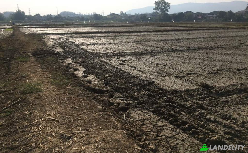 Land Lot for Sale Soi Sena Nakhon, Tambon Tha Sai, Amphoe Mueang Chiang Rai, Chang Wat Chiang Rai 57000, Tha Sai, Mueang Chiang Rai District, Chiang Rai, Thailand. Photo 13