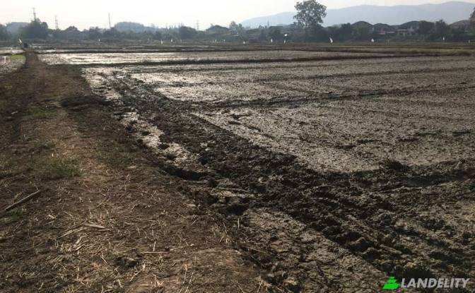 Land Lot for Sale Soi Sena Nakhon, Tambon Tha Sai. Photo#13 Land Lot for Sale Soi Sena Nakhon, Tambon Tha Sai. Photo#13
