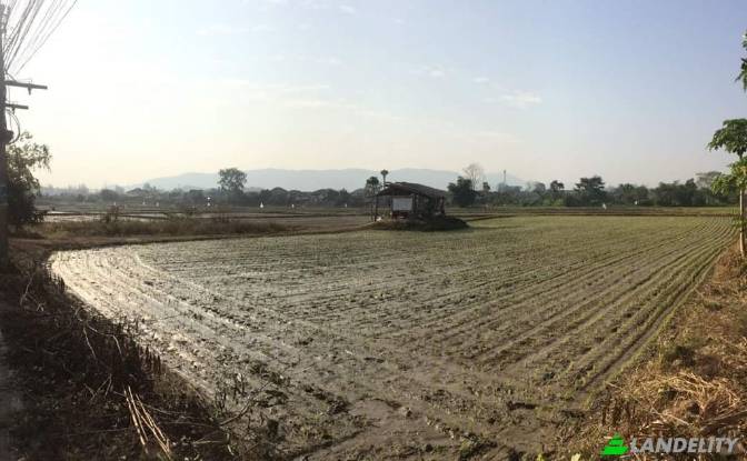 Land Lot for Sale Soi Sena Nakhon, Tambon Tha Sai. Photo#14 Land Lot for Sale Soi Sena Nakhon, Tambon Tha Sai. Photo#14