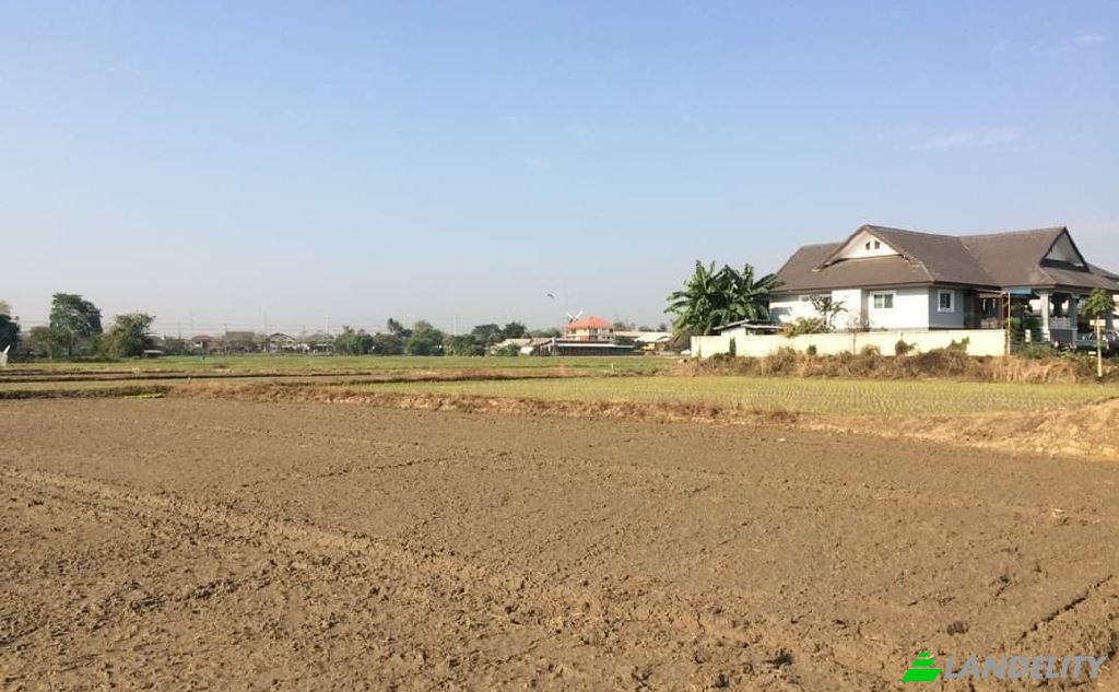 Land Lot for Sale Soi Sena Nakhon, Tambon Tha Sai, Amphoe Mueang Chiang Rai, Chang Wat Chiang Rai 57000, Tha Sai, Mueang Chiang Rai District, Chiang Rai, Thailand. Photo 15