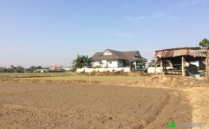 Land Lot for Sale Soi Sena Nakhon, Tambon Tha Sai. Photo#3 Land Lot for Sale Soi Sena Nakhon, Tambon Tha Sai. Photo#3