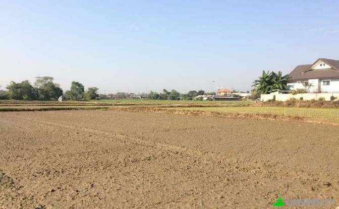 Land Lot for Sale Soi Sena Nakhon, Tambon Tha Sai. Photo#4 Land Lot for Sale Soi Sena Nakhon, Tambon Tha Sai. Photo#4