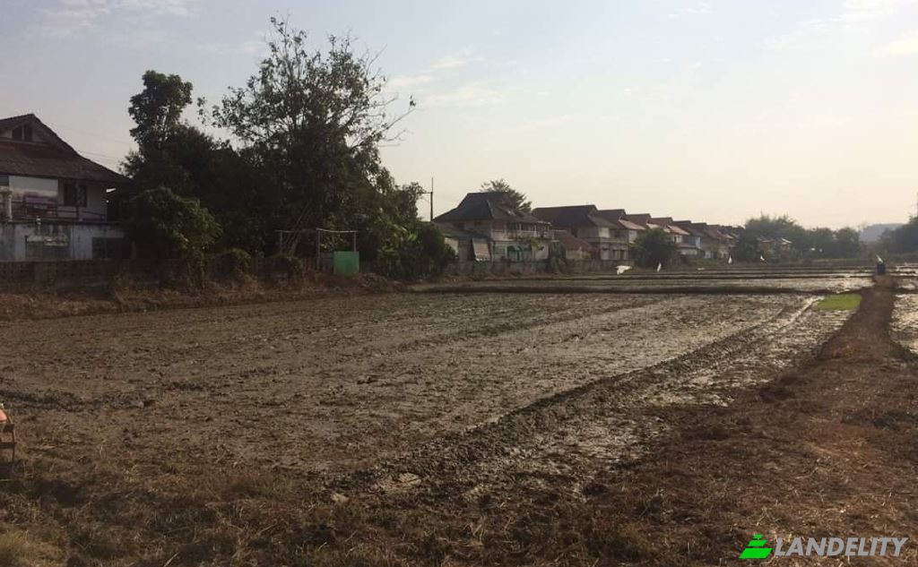 Land Lot for Sale Soi Sena Nakhon, Tambon Tha Sai, Amphoe Mueang Chiang Rai, Chang Wat Chiang Rai 57000, Tha Sai, Mueang Chiang Rai District, Chiang Rai, Thailand. Photo 5