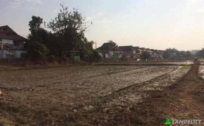 Land Lot for Sale Soi Sena Nakhon, Tambon Tha Sai. Photo#5 Land Lot for Sale Soi Sena Nakhon, Tambon Tha Sai. Photo#5