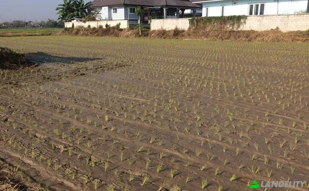 Land Lot for Sale Soi Sena Nakhon, Tambon Tha Sai, Amphoe Mueang Chiang Rai, Chang Wat Chiang Rai 57000, Tha Sai, Mueang Chiang Rai District, Chiang Rai, Thailand. Photo 6
