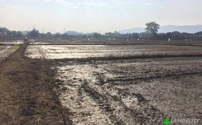 Land Lot for Sale Soi Sena Nakhon, Tambon Tha Sai. Photo#7 Land Lot for Sale Soi Sena Nakhon, Tambon Tha Sai. Photo#7