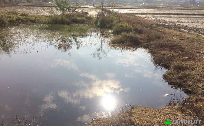 Land Lot for Sale Soi Sena Nakhon, Tambon Tha Sai. Photo#8 Land Lot for Sale Soi Sena Nakhon, Tambon Tha Sai. Photo#8