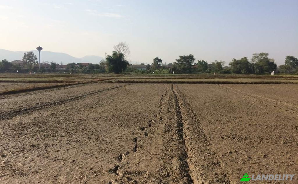 Land Lot for Sale Soi Sena Nakhon, Tambon Tha Sai, Amphoe Mueang Chiang Rai, Chang Wat Chiang Rai 57000, Tha Sai, Mueang Chiang Rai District, Chiang Rai, Thailand. Photo 9