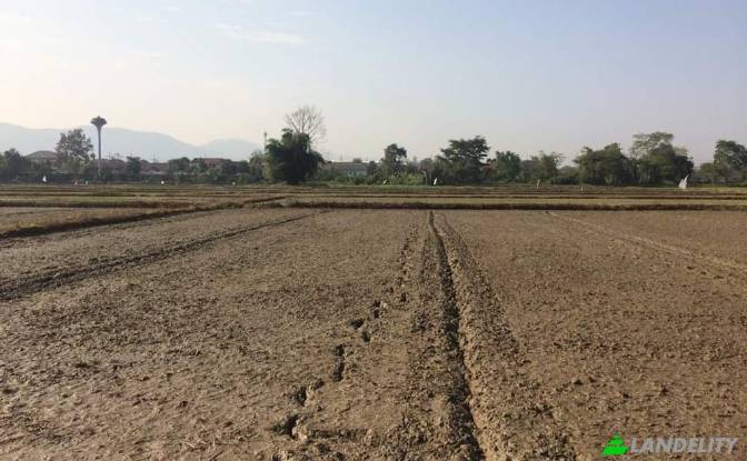 Land Lot for Sale Soi Sena Nakhon, Tambon Tha Sai. Photo#9 Land Lot for Sale Soi Sena Nakhon, Tambon Tha Sai. Photo#9