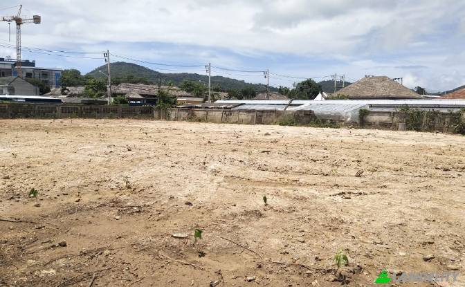 Land Lot for Sale Rawai, Mueang Phuket District. Photo#11 Land Lot for Sale Rawai, Mueang Phuket District. Photo#11