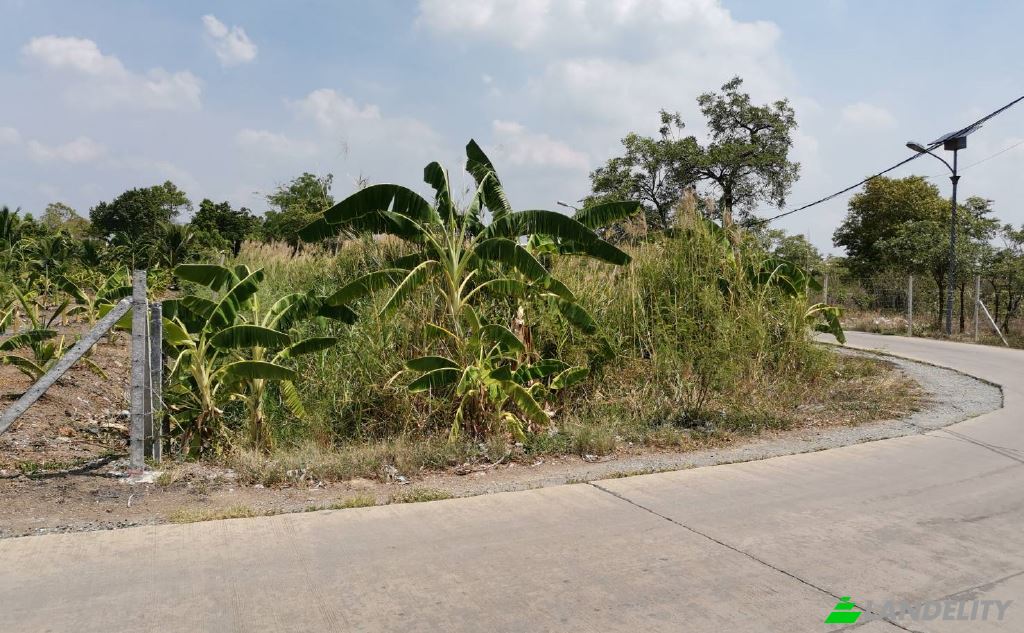 Land Lot for Sale Tambon Bang Prok, Amphoe Mueang Pathum Thani, Chang Wat Pathum Thani 12000, Bang Prok, Mueang Pathum Thani District, Pathum Thani, Thailand. Photo 10