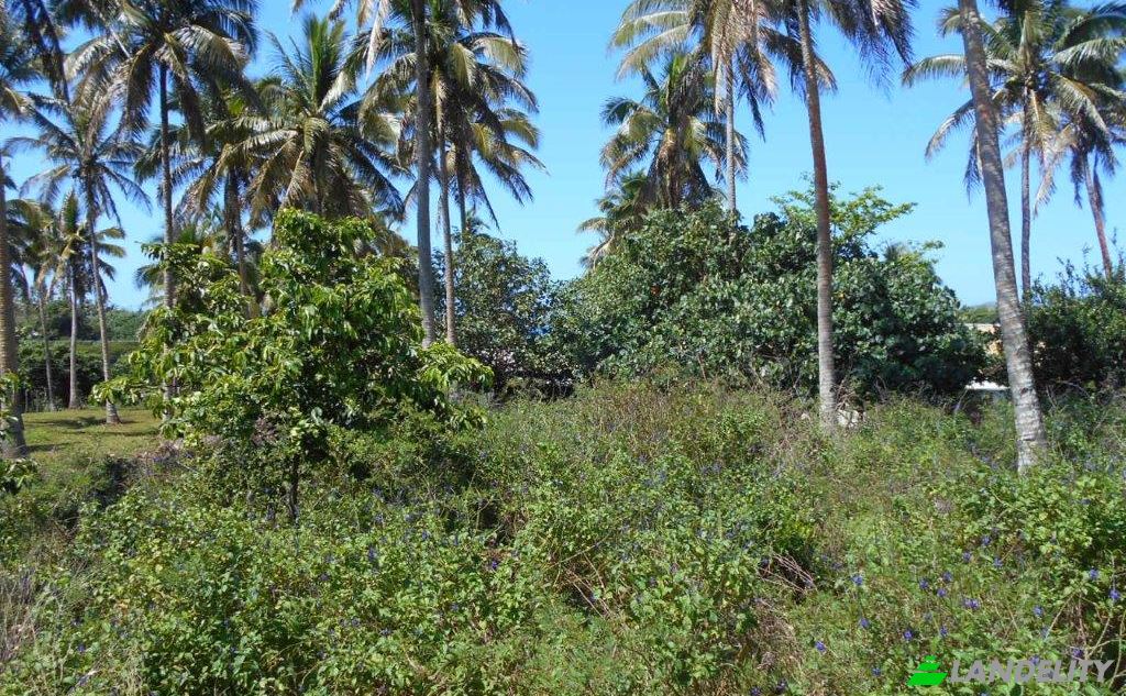 Działka na sprzedaż Toula Village, Vavau, Tonga. Zdjęcie 3