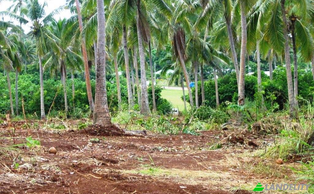 Działka na sprzedaż Toula Village, Vavau, Tonga. Zdjęcie 4