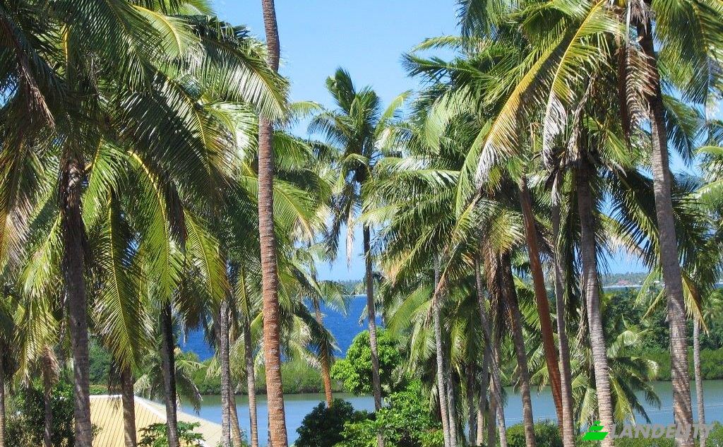 Działka na sprzedaż Toula Village, Vavau, Tonga. Zdjęcie 6