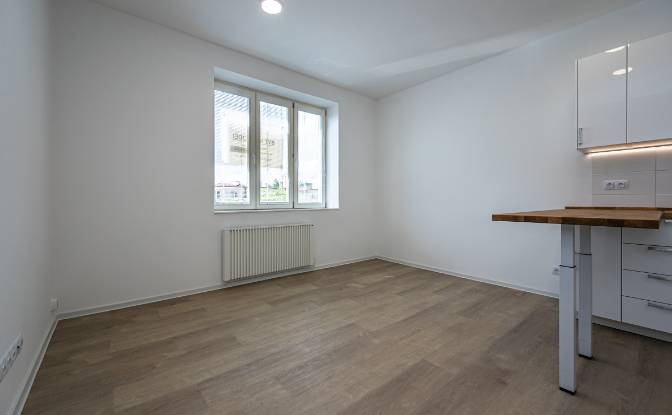 Apartment for Sale Strazni, Praha Zizkov, Prague. Photo#18
